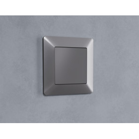 AF110501 Рамка ALFA Line (Сталь матовый) 1-ая