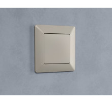 AF110361 Рамка ALFA Line (Серо-бежевый матовый) 1-ая