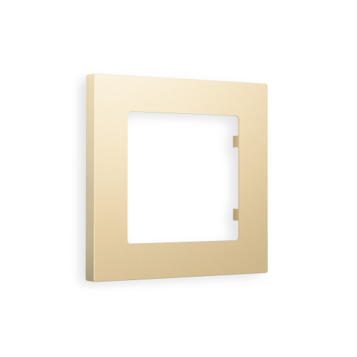 AF220601 Рамка ALFA Techno (Шампань) 1-ая