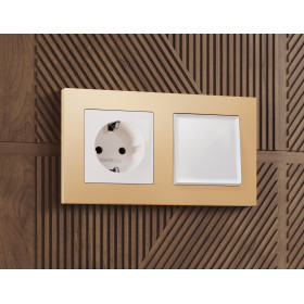 AF220601 Рамка ALFA Techno (Шампань) 1-ая