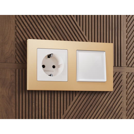 AF220601 Рамка ALFA Techno (Шампань) 1-ая