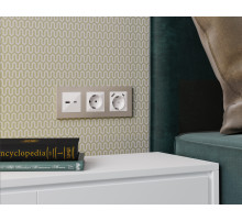 AF220363 Рамка ALFA Techno (Серо-бежевый матовый) 3-ая