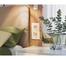 AF220305 Рамка ALFA Techno (Бежевый глянец) 5-ая