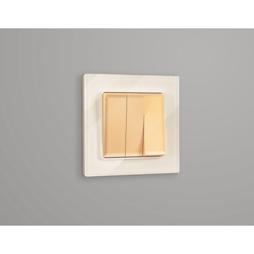 AF330301 Рамка ALFA Platos (Бежевый Стекло органическое) 1-ая