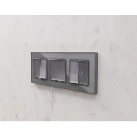 AF330503 Рамка ALFA Platos (Сталь Стекло органическое) 3-ая