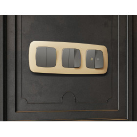 OF140601 Рамка OMEGA Ecta (Шампань) 1-ая