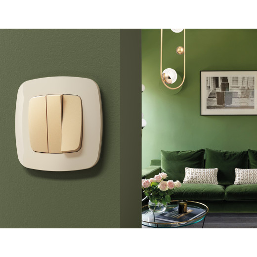 OF140301 Рамка OMEGA Ecta (Бежевый глянец) 1-ая