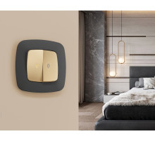 OF140803 Рамка OMEGA Ecta (Графит Мягкое касание) 3-ая