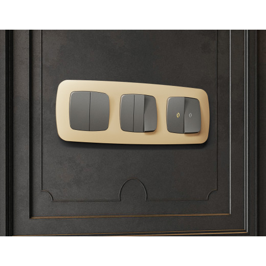 OF140604 Рамка OMEGA Ecta (Шампань) 4-ая