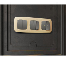 OF140605 Рамка OMEGA Ecta (Шампань) 5-ая