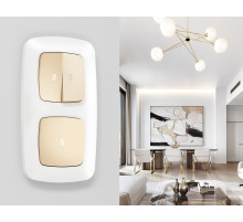 OF140125 Рамка OMEGA Ecta (Белый матовый) 5-ая