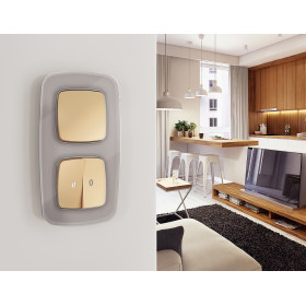 OF320501 Рамка OMEGA Radian (Сталь Стекло органическое) 1-ая