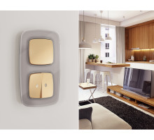 OF320504 Рамка OMEGA Radian (Сталь Стекло органическое) 4-ая