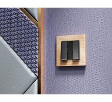 AF550303 Рамка ALFA Platos (Шампань Металл шлифованный) 3-ая