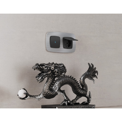 OF580101 Рамка OMEGA Radian (Серебро Металл шлифованный) 1-ая