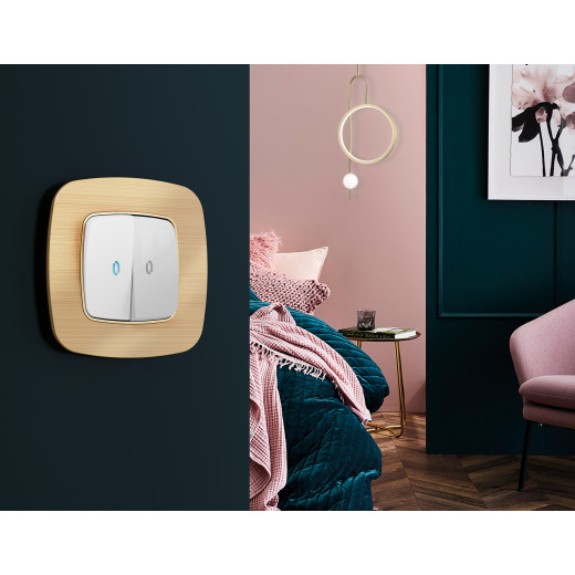 OF580301 Рамка OMEGA Radian (Шампань Металл шлифованный) 1-ая