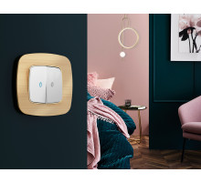 OF580303 Рамка OMEGA Radian (Шампань Металл шлифованный) 3-ая