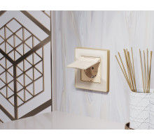 AF580341 Рамка ALFA Arctic (Бежевый Стекло органическое/Шампань) 1-ая