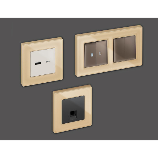 AF580601 Рамка ALFA Arctic (Шампань Стекло органическое) 1-ая