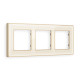 AF580343 Рамка ALFA Arctic (Бежевый Стекло органическое/Шампань) 3-ая