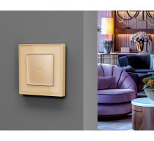 AF580603 Рамка ALFA Arctic (Шампань Стекло органическое) 3-ая