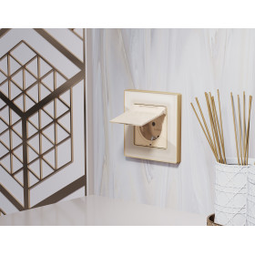 AF580343 Рамка ALFA Arctic (Бежевый Стекло органическое/Шампань) 3-ая