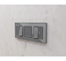 AF580653 Рамка ALFA Arctic (Антрацит серый Стекло органическое) 3-ая