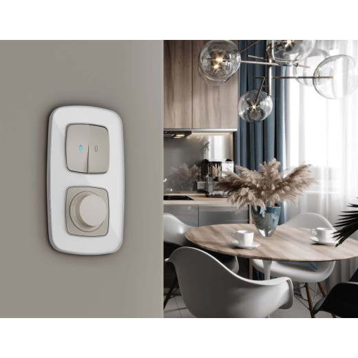 OF640131 Рамка OMEGA Coint (Белый Стекло органическое/Серебро) 1-ая