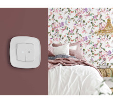 OF640103 Рамка OMEGA Coint (Белый Стекло органическое) 3-ая