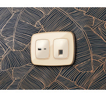 OF640344 Рамка OMEGA Coint (Бежевый Стекло органическое/Шампань) 4-ая