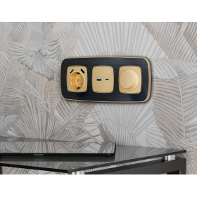 OF640543 Рамка OMEGA Coint (Черный Стекло органическое/Шампань) 3-ая