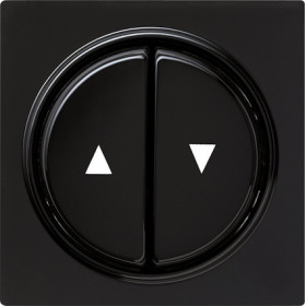 Gira S-Color Черный Клавиша 2-ая