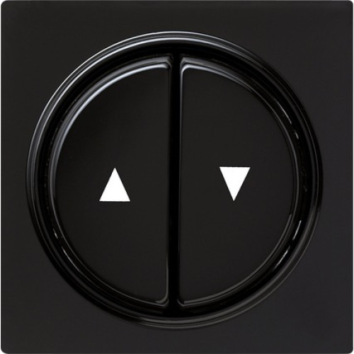 Gira S-Color Черный Клавиша 2-ая