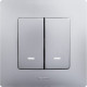 Legrand Etika Алюминий Выключатель 2-клавишный с подсветкой/индикациейавт, автоматические клеммы, 10 AX, 250 В