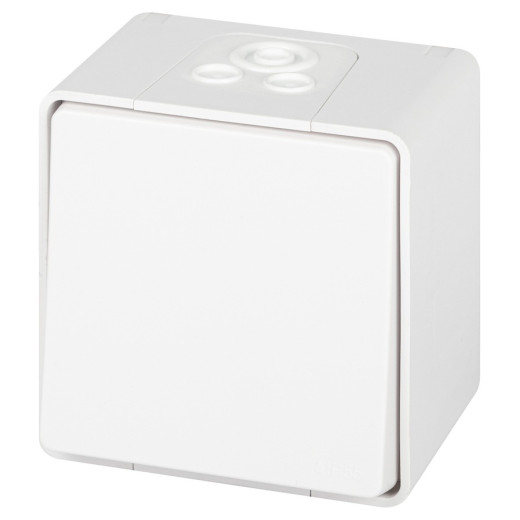 Переключатель ЭРА Эксперт 11-1503-01 IP55 10АХ-250В ОУ белый