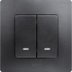 Legrand Etika Антрацит Выключатель 2-клавишный с подсветкой/индикацией, авт.клеммы, 10 AX, 250 В