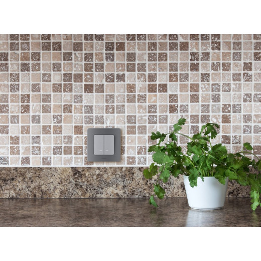 Legrand/Daccord INSPIRIA Алюминий Выключатель двухклавишный с подсветкой/индикацией 10 AX - 250 В