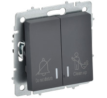 IEK BRITE Выключ. 2-кл. с инд. отел. 10А ВС10-2-9-БрГ граф.