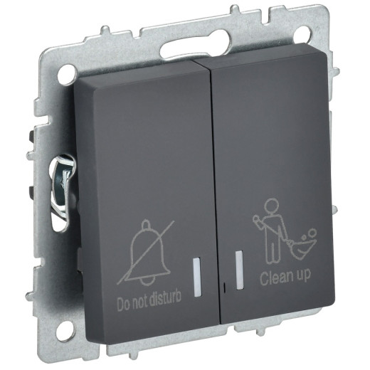 IEK BRITE Выключ. 2-кл. с инд. отел. 10А ВС10-2-9-БрГ граф.