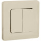 Legrand/Daccord INSPIRIA Слоновая кость Выключатель двухклавишный 10 AX - 250 В