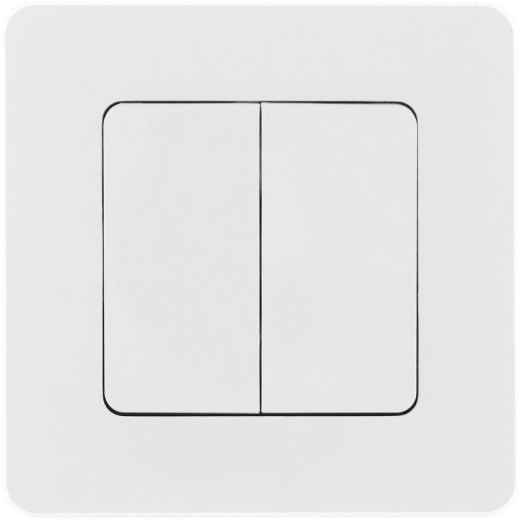 Legrand/Daccord INSPIRIA Белый Выключатель двухклавишный 10 AX - 250 В