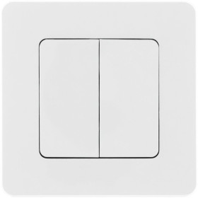 Legrand/Daccord INSPIRIA Белый Выключатель двухклавишный 10 AX - 250 В