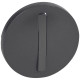 Legrand Celiane2 Графит Клавиша 1-ая для бесшумного выключателя
