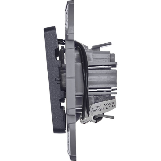 Legrand/Daccord INSPIRIA Антрацит Выключатель одноклавишный с подсветкой/индикацией 10 AX - 250 В