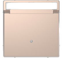 Schneider Electric Merten D-Life Шампань Выключатель с ключюм-картой д/гостиниц