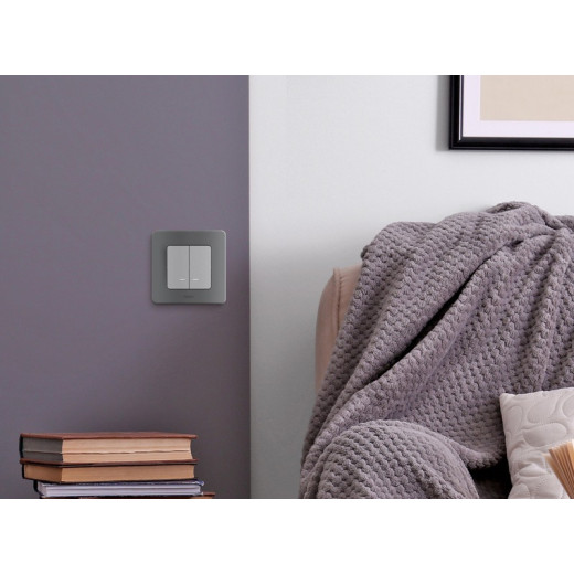 Legrand/Daccord INSPIRIA Алюминий Выключатель двухклавишный с подсветкой/индикацией 10 AX - 250 В