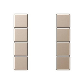 JUNG Шампань Набор накладок 4градуса