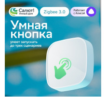 SBER Умная кнопка