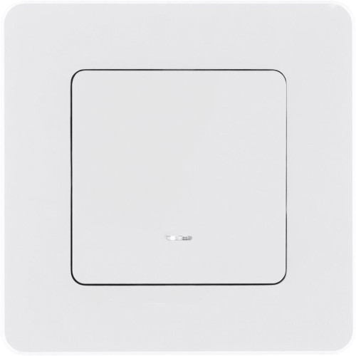 Legrand/Daccord INSPIRIA Белый Выключатель одноклавишный с подсветкой/индикацией 10 AX - 250 В