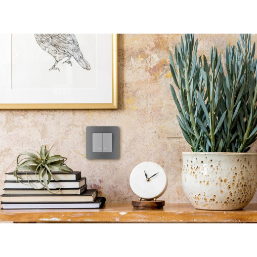 Legrand/Daccord INSPIRIA Алюминий Выключатель двухклавишный с подсветкой/индикацией 10 AX - 250 В